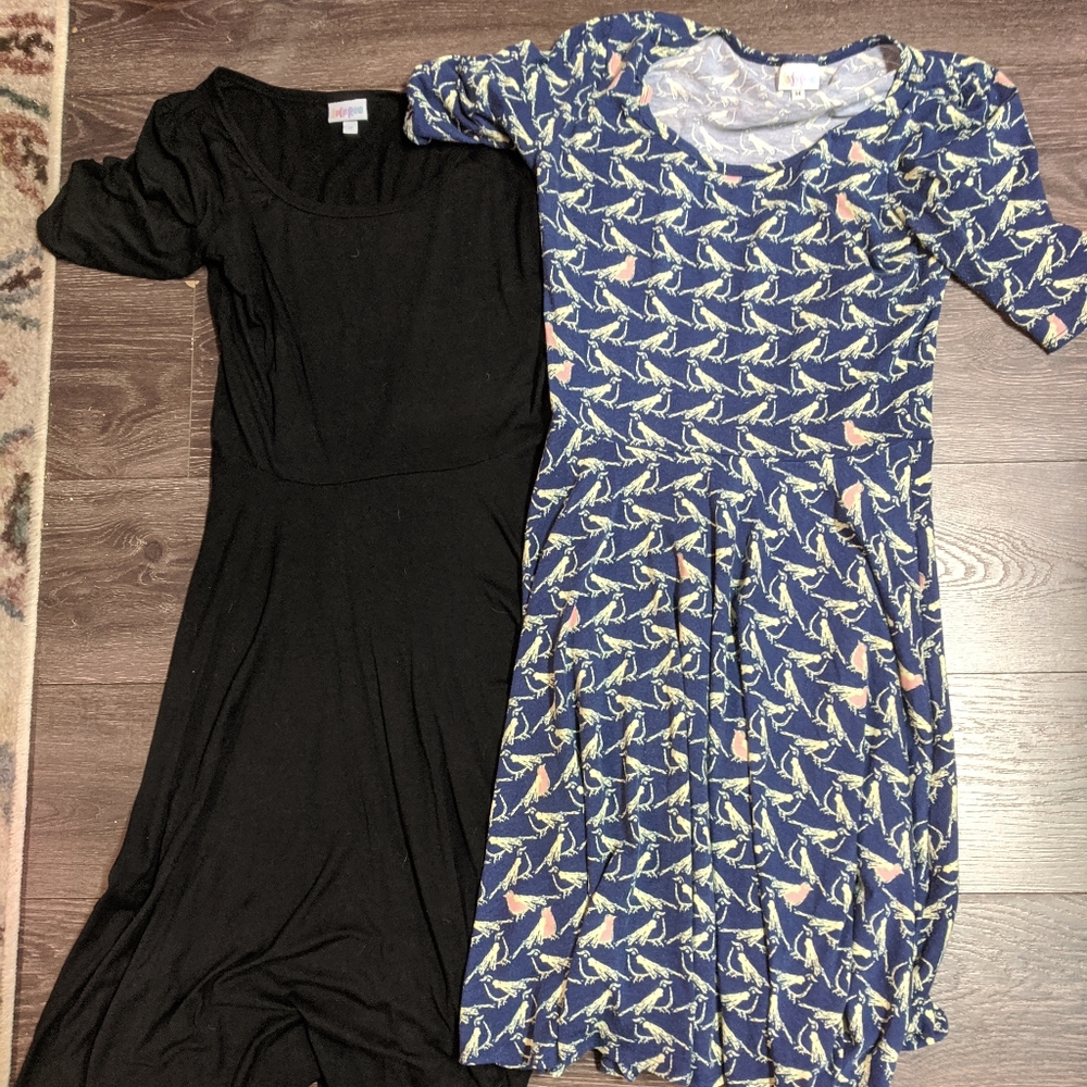 Two LuLaRoe Nicole's size medium